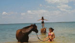 campeggio Black Mustang Ranch horseback riding summer camp at Lantana Resort