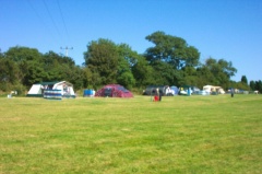 camping court farm 