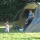camping Camping  le clos cacheleux