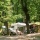campingplads Camping Repos del Pedraforca