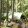 campsite De Lilse Bergen VZW