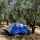campsite Camping Agriturismo Gerace di Antonella Fontazza