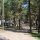 campsite Big Pine Campground