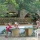 camping camping Isis en Cevennes