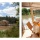 campeggio Camping Sites et Paysages de l'Etang de Bazange